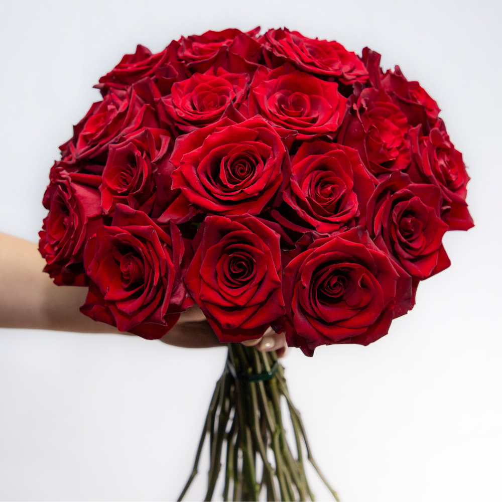 RAMO BUCHON 25 ROSAS ROJAS