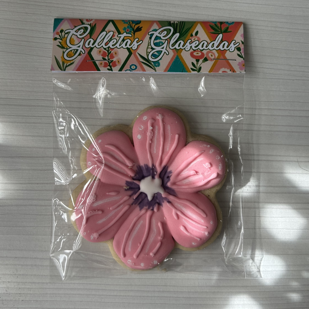 GALLETA GLASEADA - OTRAS TEMÁTICAS