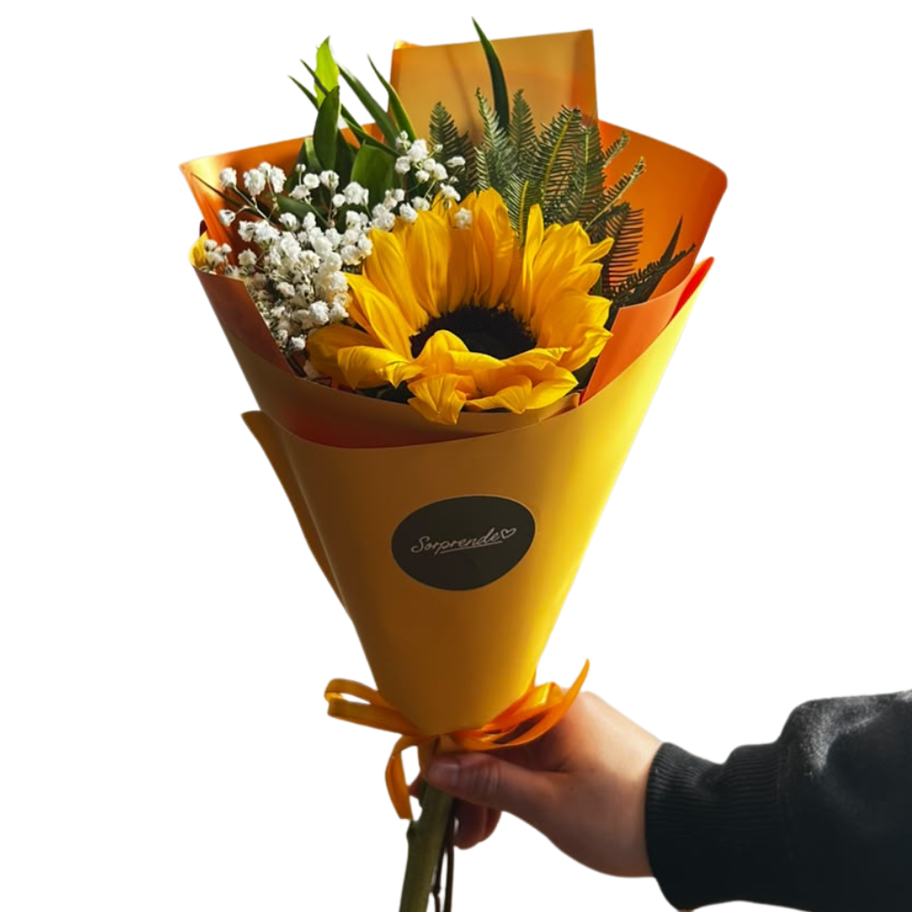 GIRASOL ARREGLADO