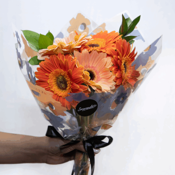 RAMO GERBERAS  /5 VARAS